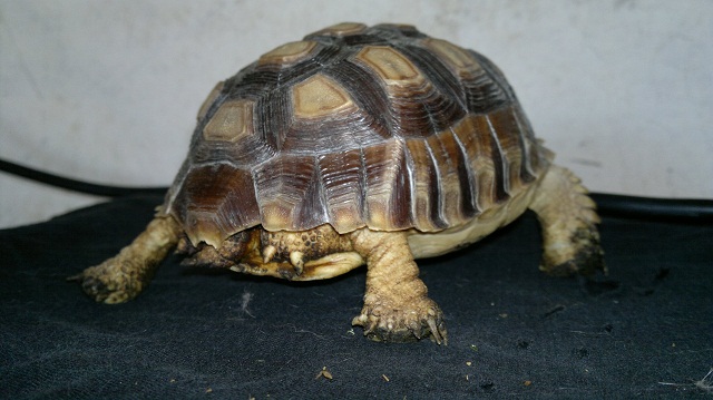 2012-02-27-065.jpg