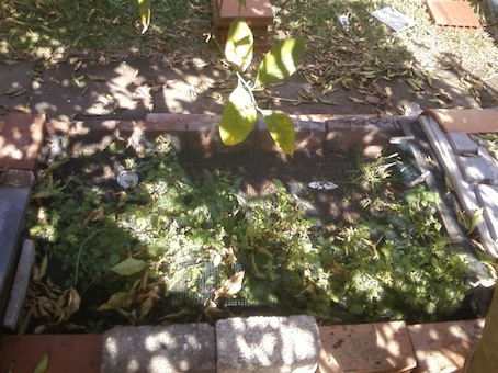 Foto0038.jpg