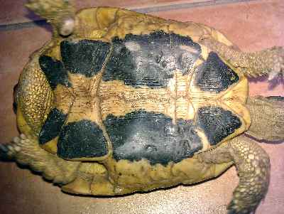 IMAG0094.jpg