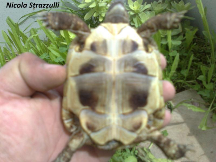 06052012827.jpg