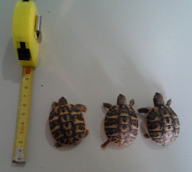 2012-05-15 10.48.44.jpg