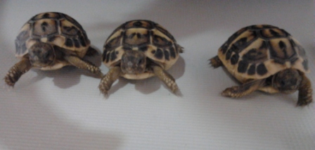 2012-05-15 10.48.53.jpg