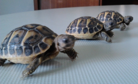 2012-05-15 10.50.37.jpg