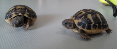 2012-05-15 10.51.27.jpg