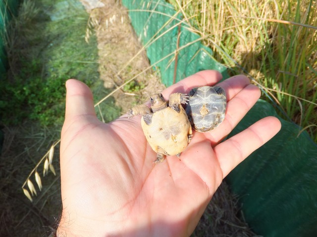 DSCF4751.jpg
