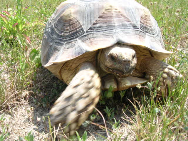 DSCN2382.JPG