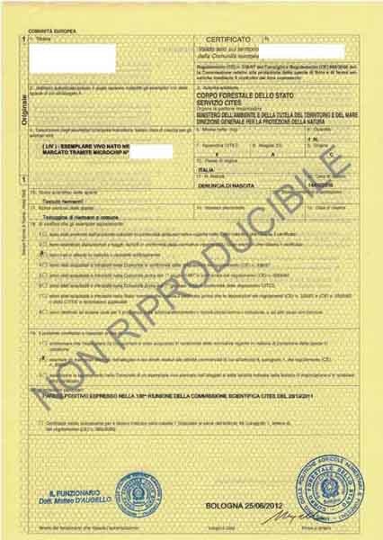 cert cites2.jpg