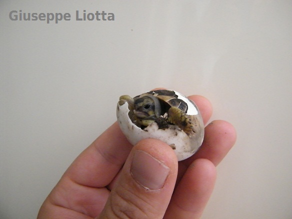 DSCF7150.JPG