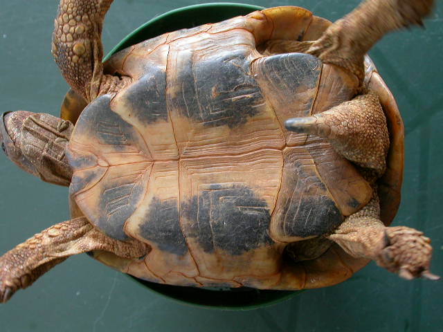 DSCN7700.JPG