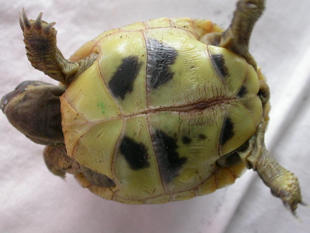 DSCN7696.JPG