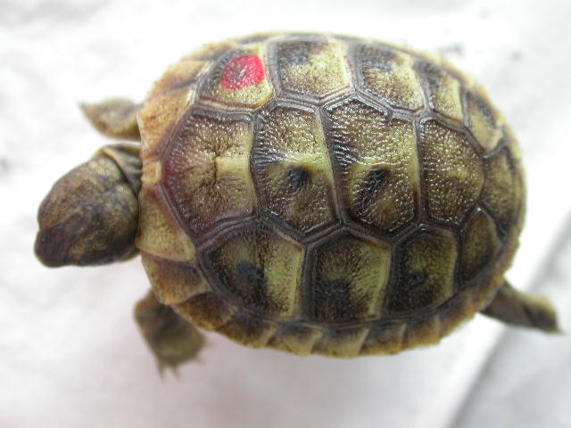 DSCN7697.JPG