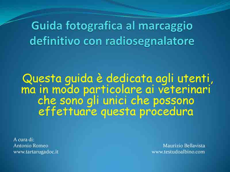 Guida-microchip_Pagina_1.jpg