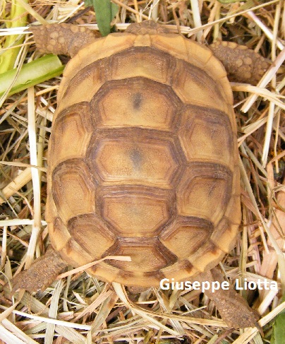 DSCF7354.JPG