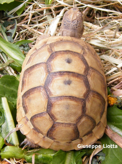 DSCF7320.JPG