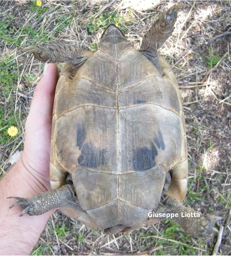 DSCF7296.JPG