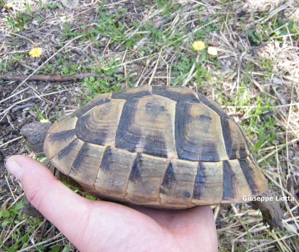 DSCF7295.JPG