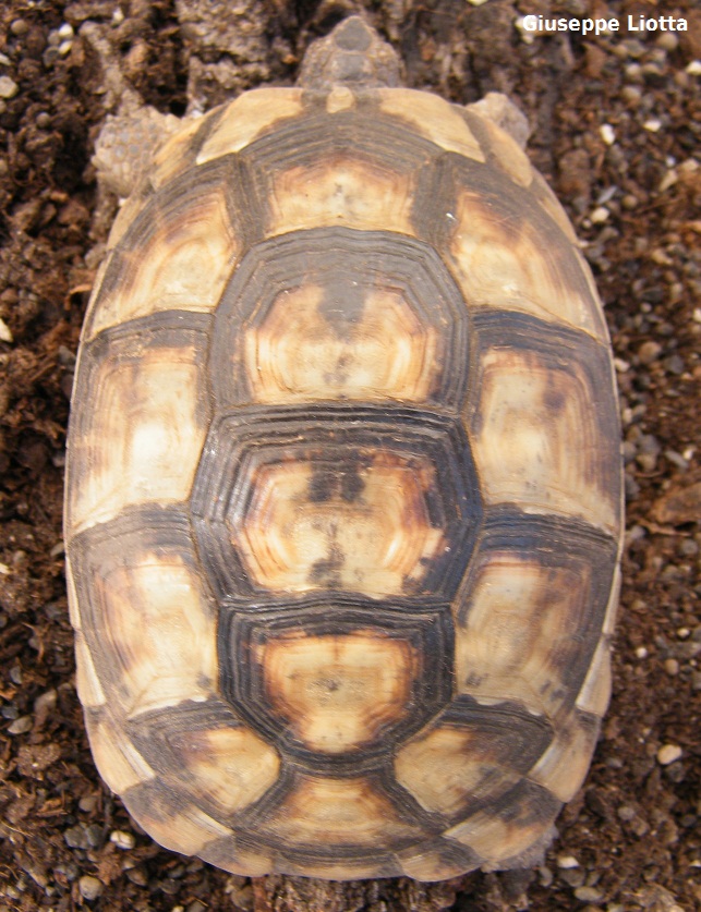 DSCF7455.JPG
