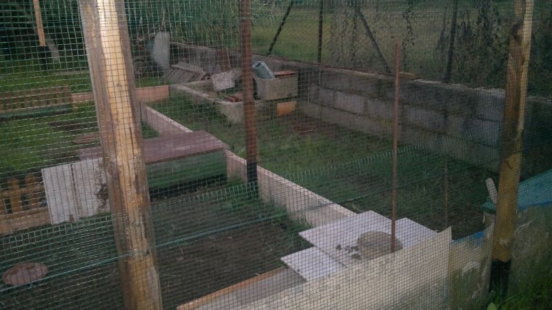 2012-10-17-220.jpg