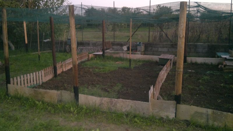 2012-10-17-219.jpg
