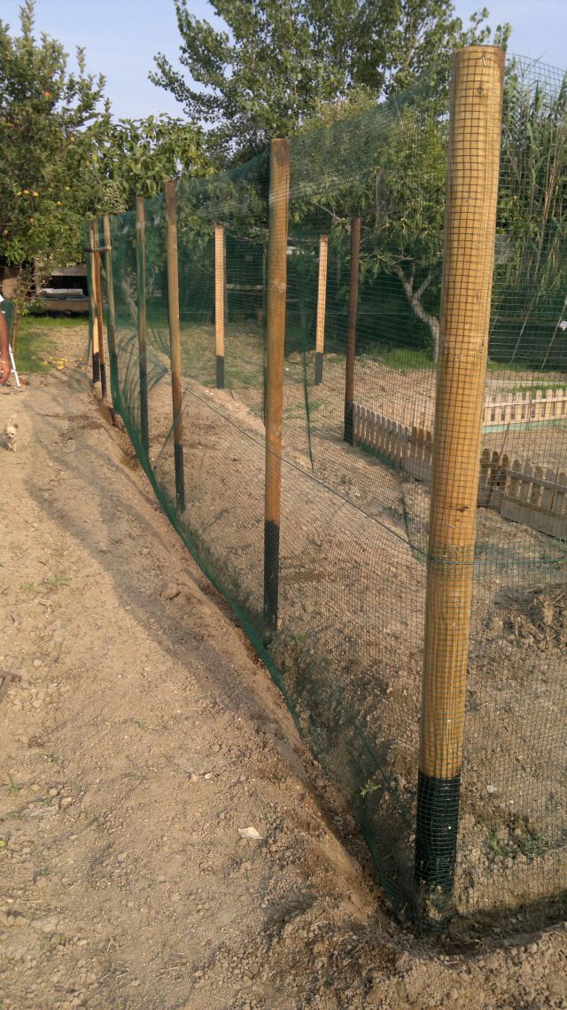 2012-09-11-113.jpg