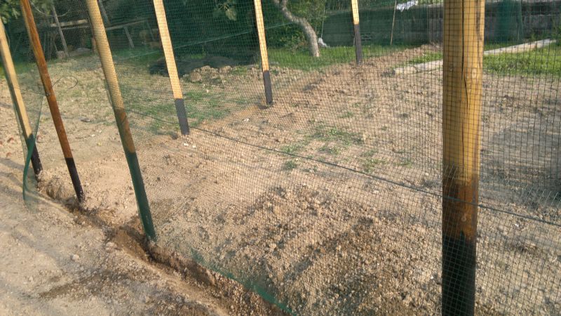 2012-09-11-112.jpg