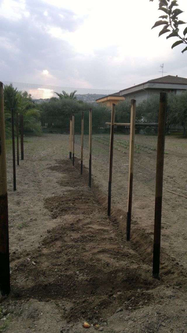 2012-09-10-109.jpg
