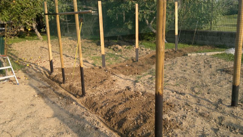 2012-09-10-106.jpg