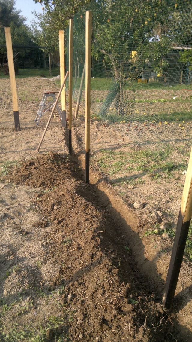 2012-09-10-105.jpg
