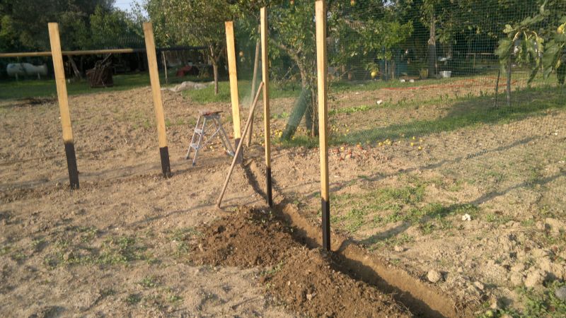 2012-09-10-104.jpg