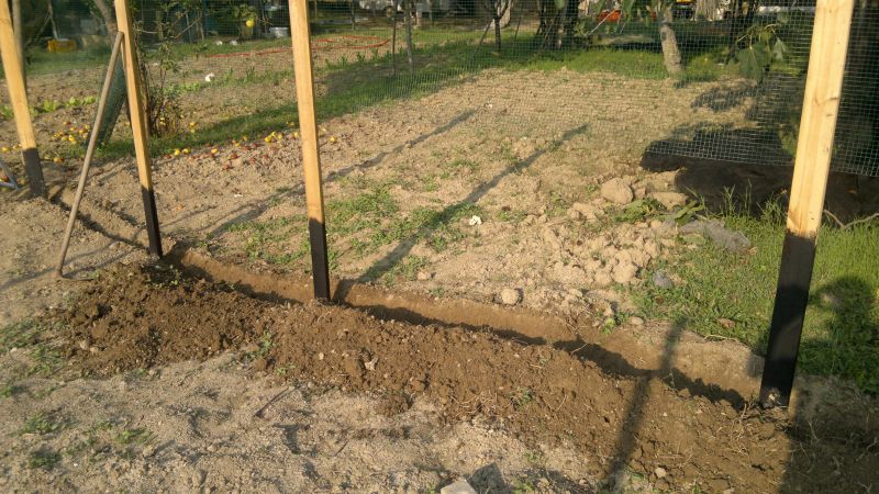 2012-09-10-103.jpg
