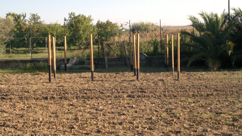 2012-09-08-100.jpg