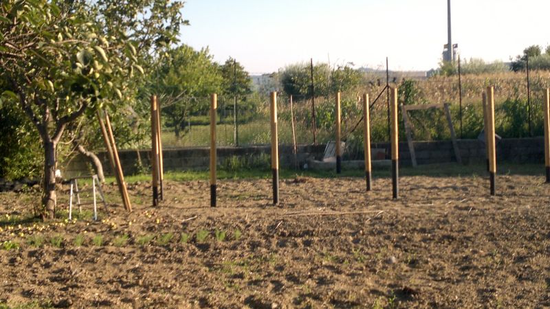 2012-09-08-099.jpg