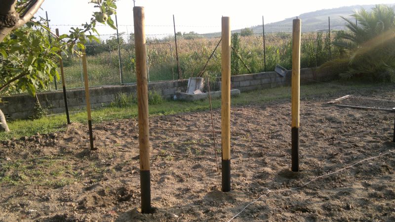 2012-09-07-095.jpg