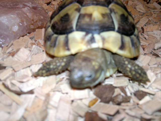 2012-11-18-289.jpg