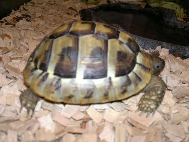 2012-11-18-294.jpg