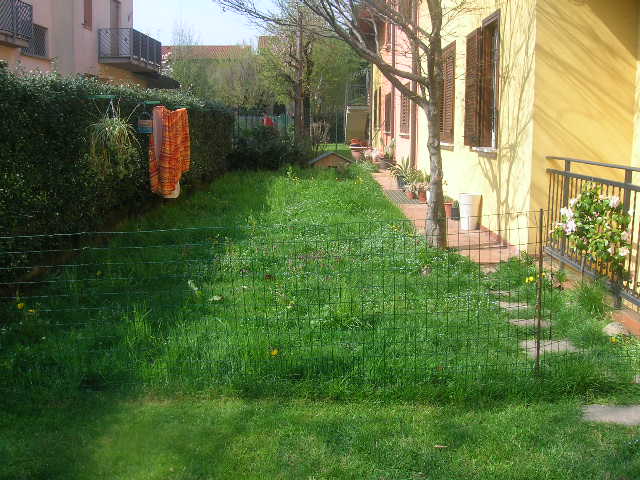 010.JPG