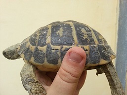 20130421_112558.jpg