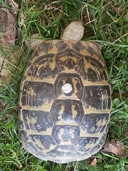 20130421_112654.jpg
