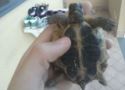 img20130517wa0014.jpg