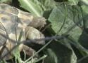 img20130517wa0015.jpg