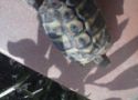 img20130517wa0016.jpg