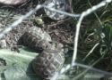 img20130517wa0017.jpg