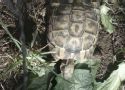 img20130517wa0018.jpg