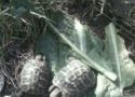 img20130517wa0019.jpg