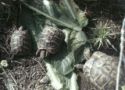 img20130517wa0020.jpg