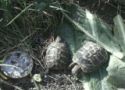 img20130517wa0021.jpg