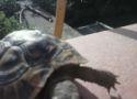 img20130517wa0022.jpg