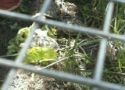 img20130517wa0024.jpg