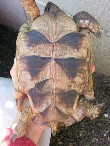 20130523_140333.jpg