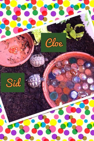 rsz_cloe_&_sid.jpg